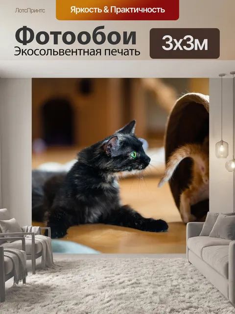 Фотообои Кошка