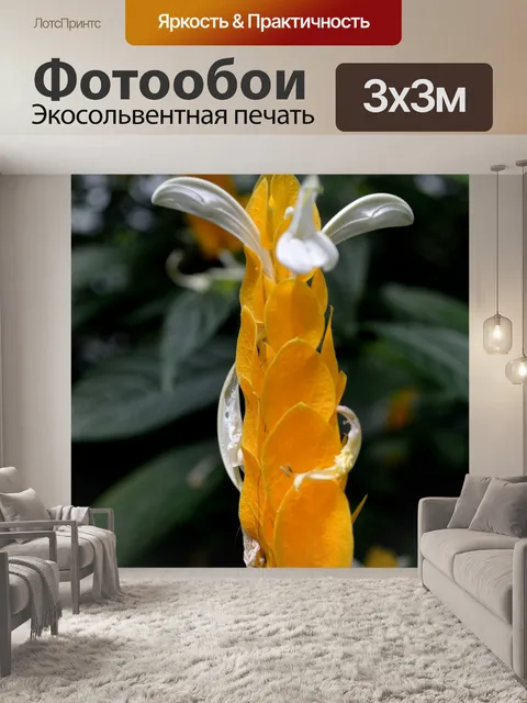 Фотообои Желтые