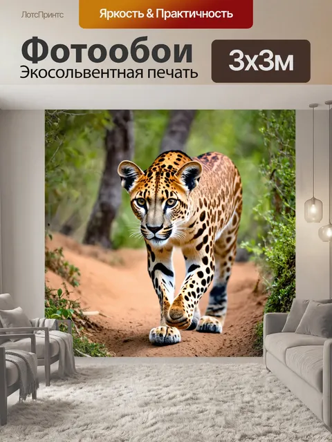 Фотообои пума, бродящая по средиземноморскому лесу