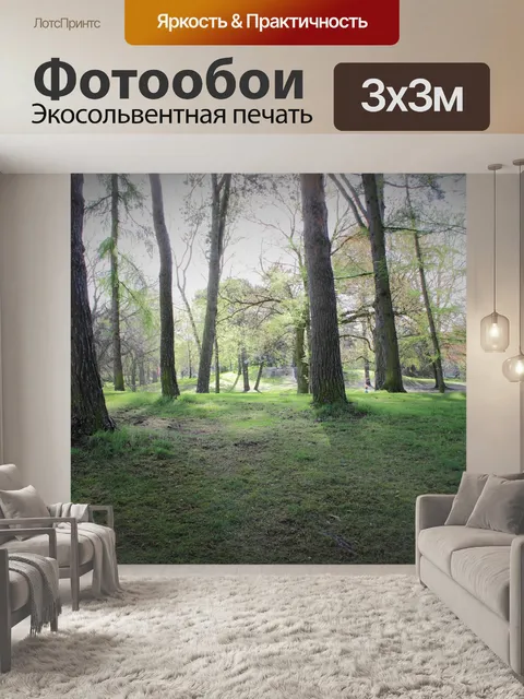 Фотообои Деревья в парке