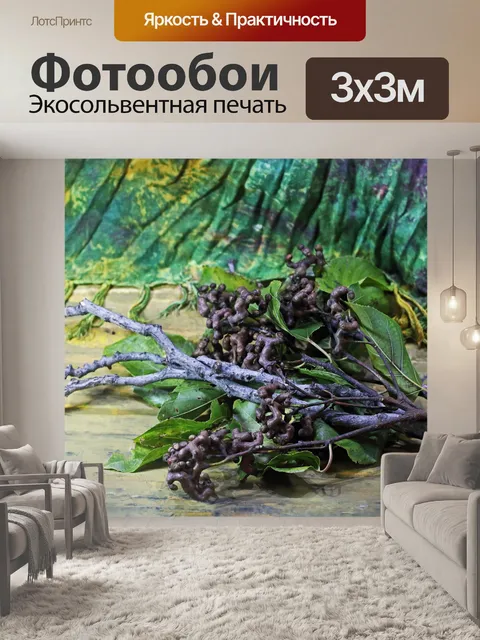 Фотообои гроздья спелого японского изюма