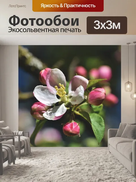 Фотообои Цветение яблони