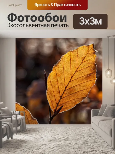 Фотообои Листья