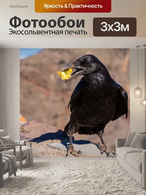 Фотообои Ворона