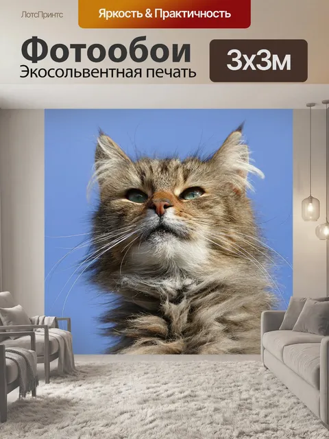 Фотообои Кошка