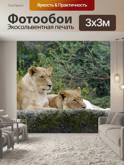 Фотообои Африканская львица