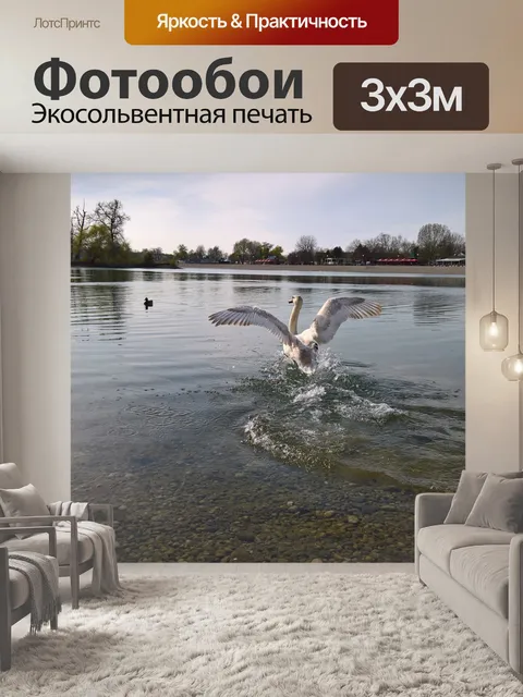 Фотообои Лебедь
