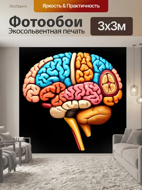 Фотообои графическое изображение разреза головного мозга