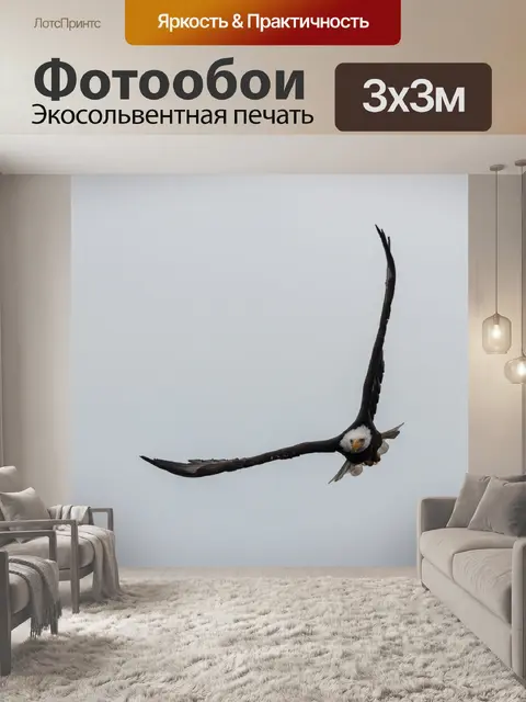 Фотообои Лысый орел