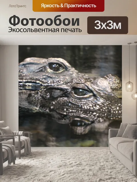 Фотообои Два Крокодилы в воде