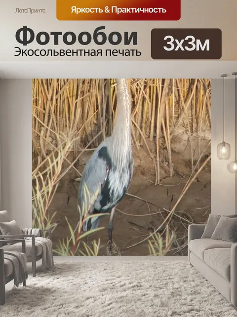 Фотообои Большая голубая цапля