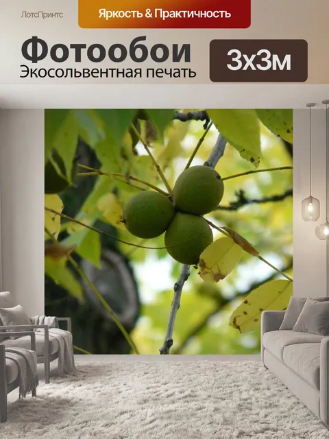 Фотообои Фрукты