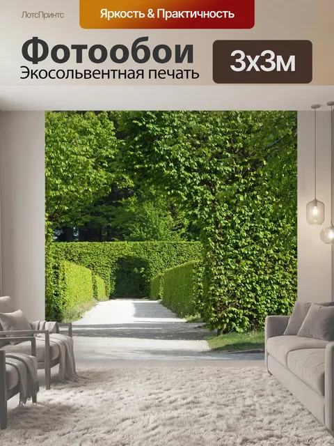 Фотообои Арка