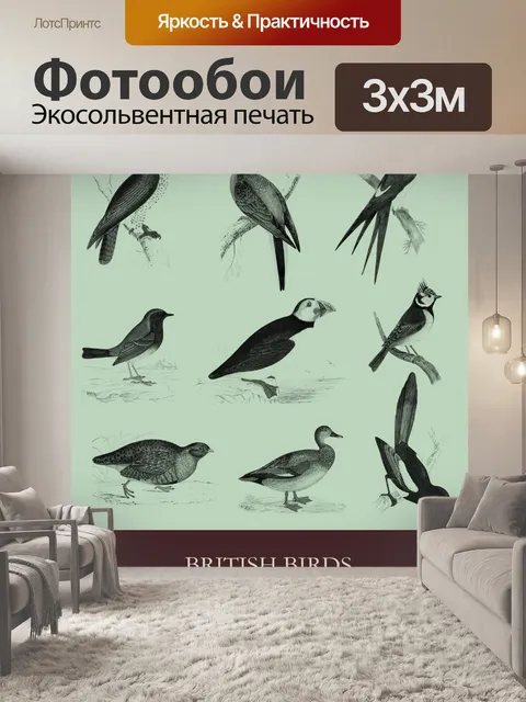 Фотообои Набор птиц