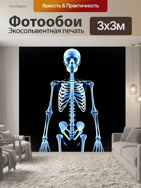Фотообои стиллизованный рентгеновский снимок с изображением скелета в анатомическом порядке