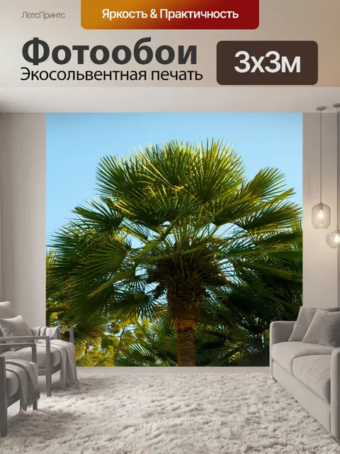 Фотообои Пальмовых листьев под закат