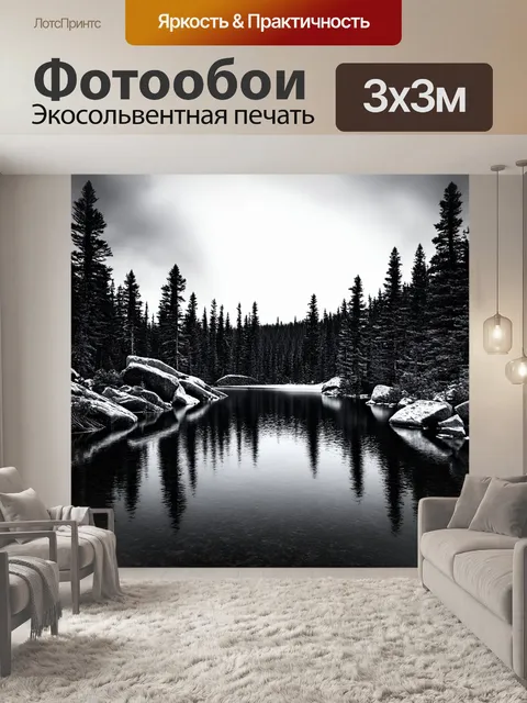 Фотообои черно-белый: старое лесное озеро, окружённое камнями и кустарниками, полное загадочности