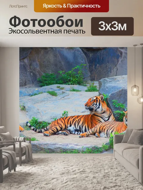 Фотообои Тигр