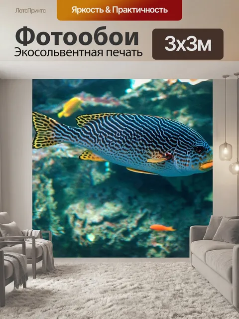 Фотообои Многоручьевые Sweetlips Рыба
