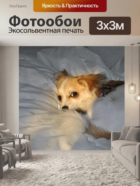 Фотообои Спать