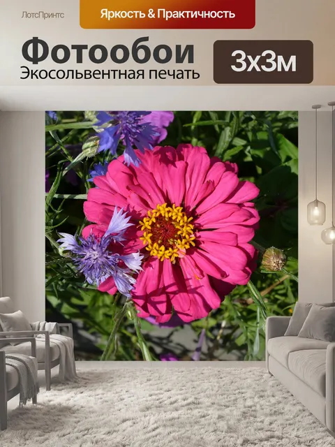 Фотообои Цветок