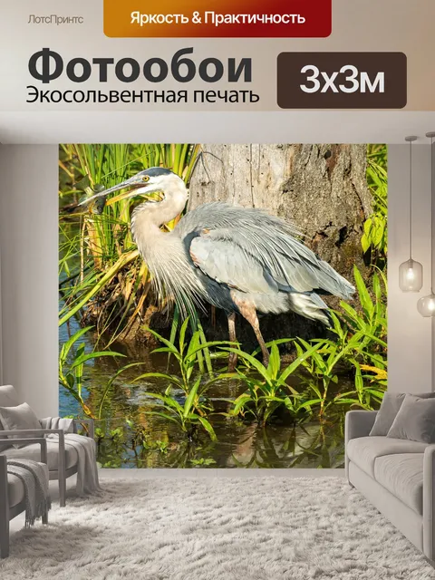 Фотообои Большая голубая цапля