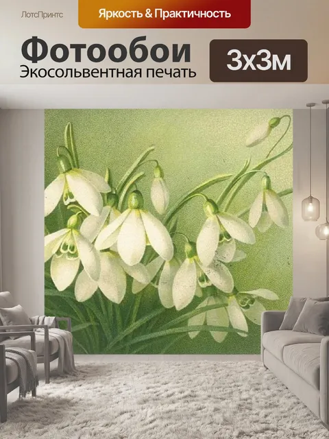Фотообои Подснежник Галантус Цветочная Весна