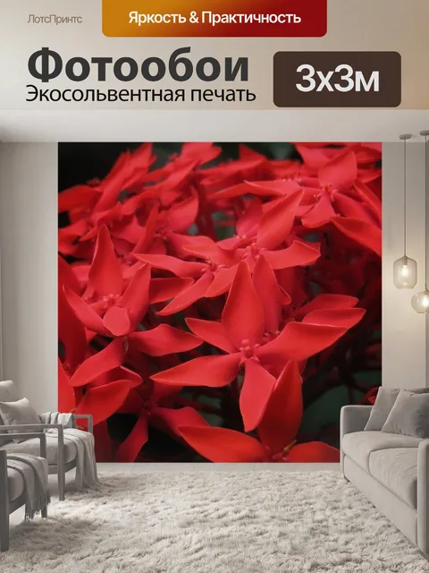 Фотообои Джунгли герань