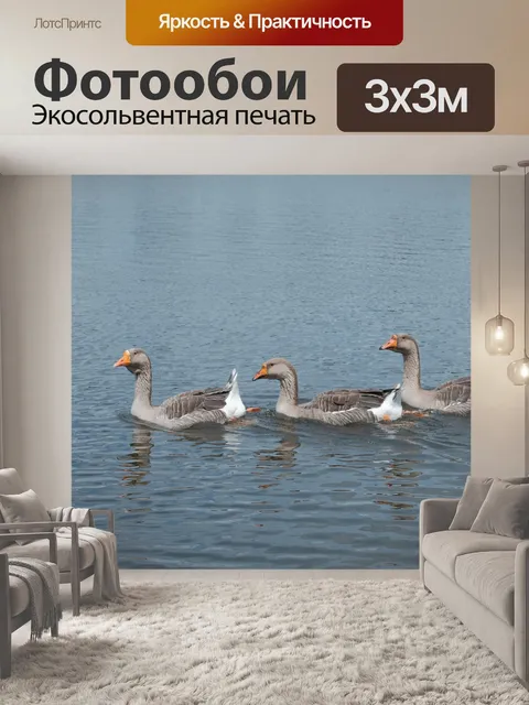 Фотообои Три гуся на пруду
