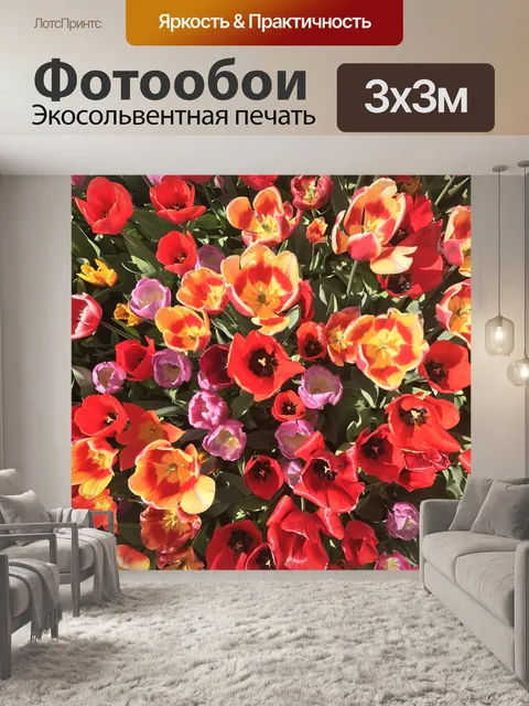 Фотообои Тюльпаны