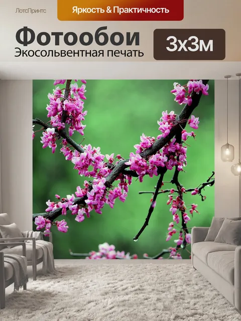 Фотообои Редбад