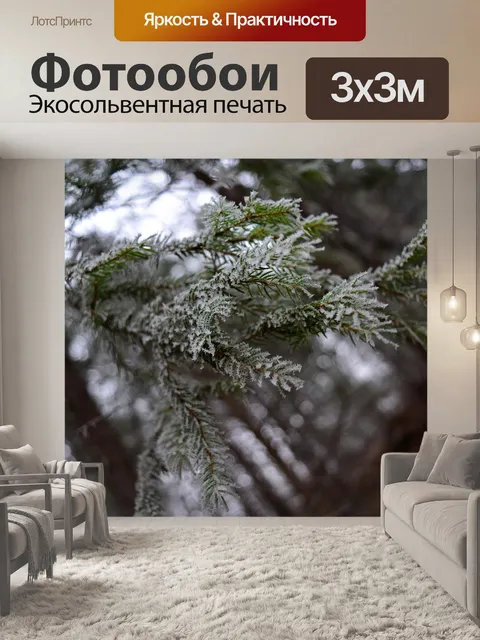 Фотообои Мороз