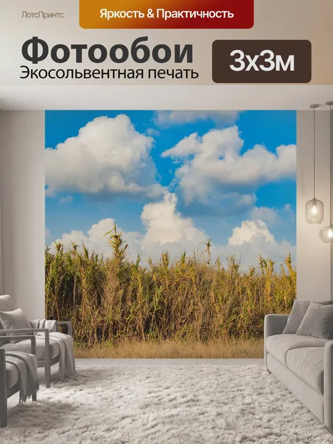 Фотообои Камыши