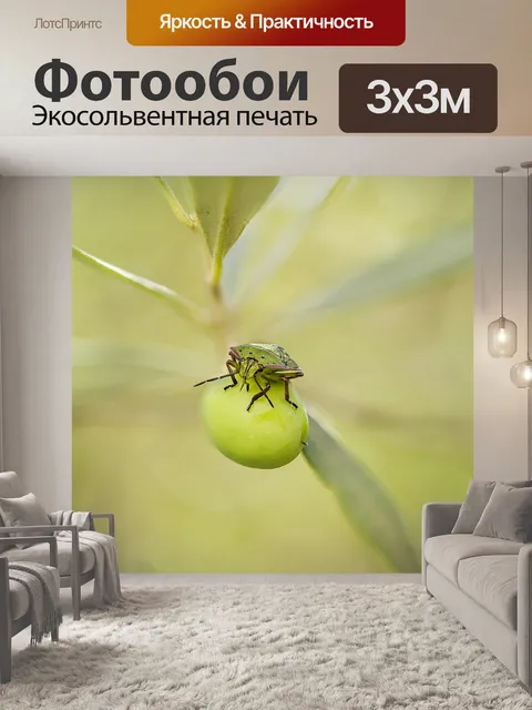 Фотообои Вонючий зеленый жук