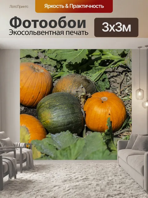Фотообои Многоцветные тыквы U-Pick