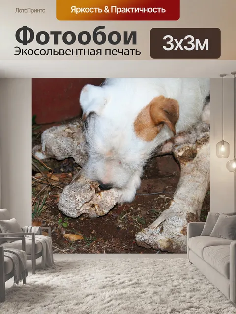 Фотообои я люблю все мои кости