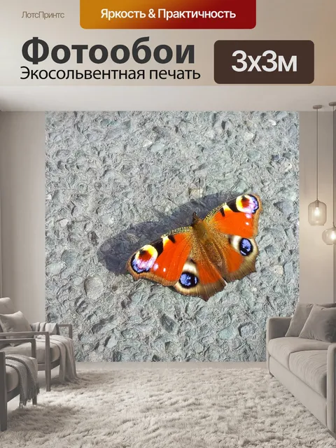 Фотообои Павлин бабочка