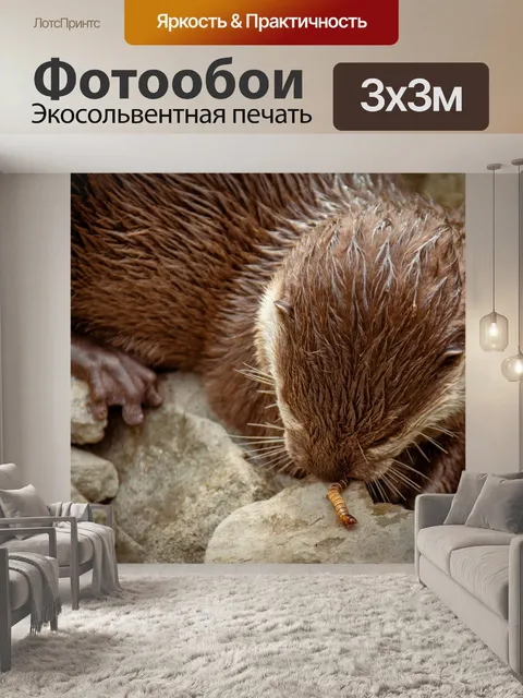 Фотообои Выдра