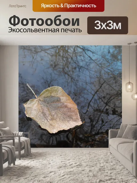 Фотообои Лист