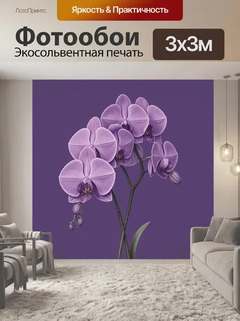300 × 300 см · Экосольвентная печать