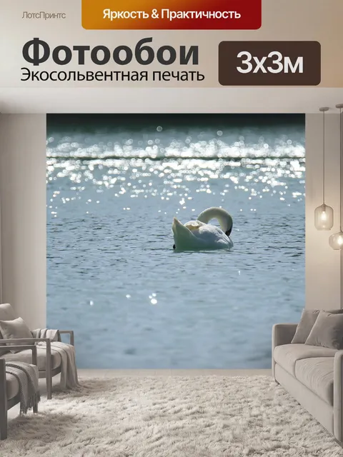 Фотообои Лебедь