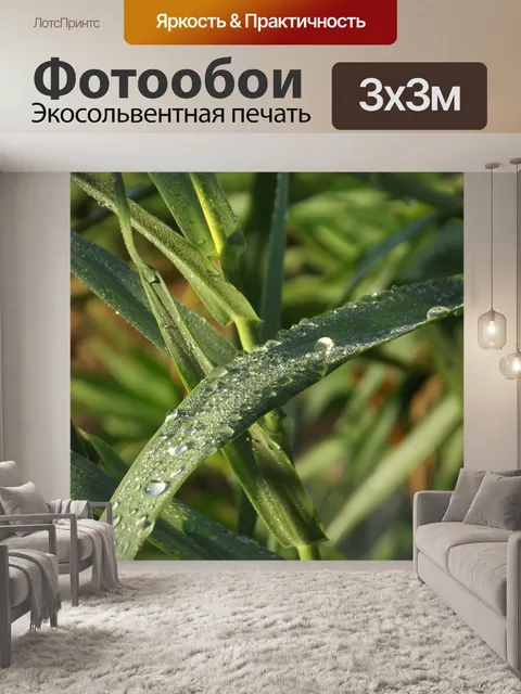 Фотообои Лист