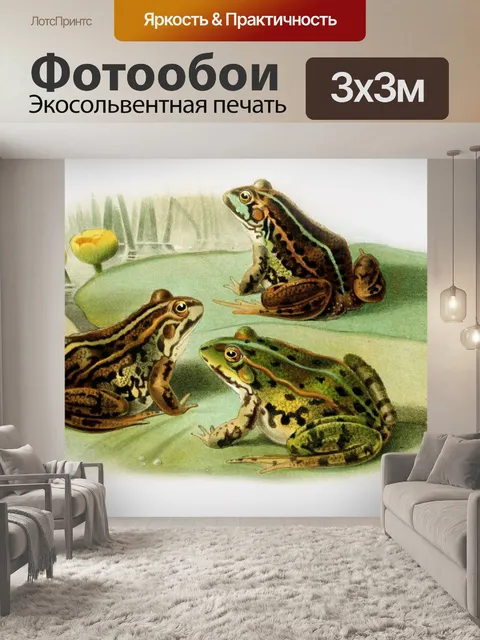 Фотообои Лягушки литография винтажное искусство