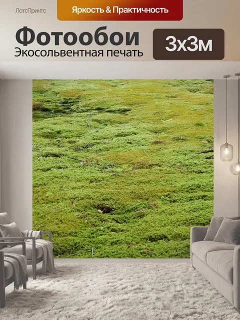 Фотообои Мох