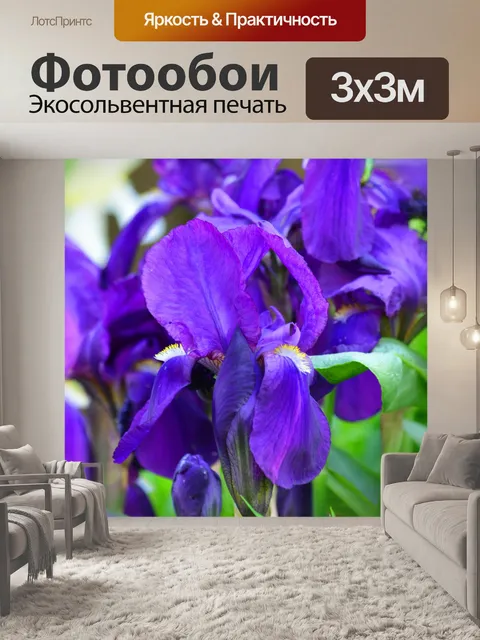 Фотообои Сиреневые ирисы