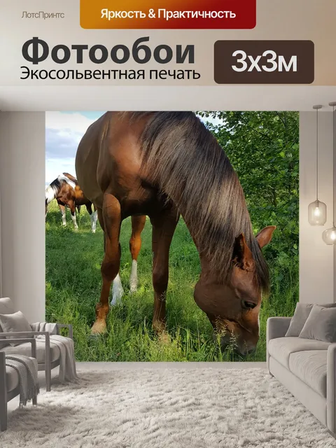 Фотообои Лошадь