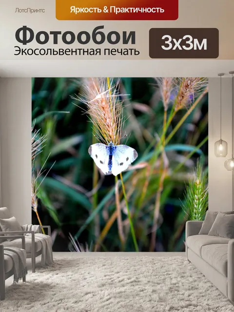 Фотообои Бабочка