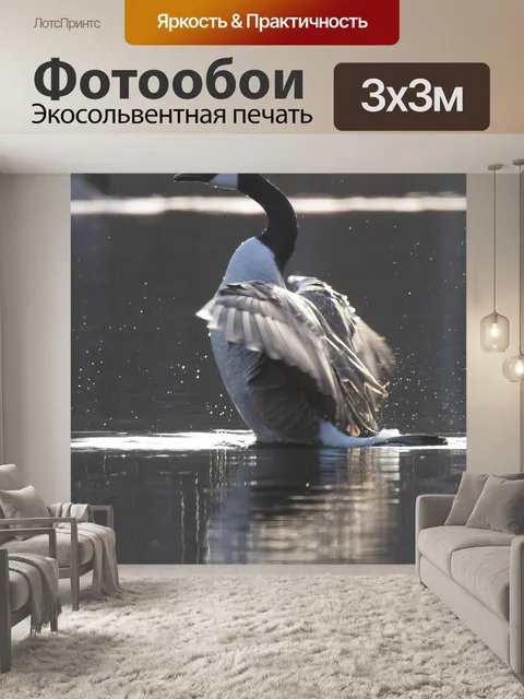 Фотообои Гусь