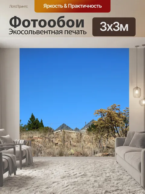 Фотообои дерево с желтыми листьями осенью
