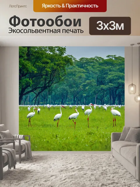 Фотообои лес с плоской равниной, изобилующей журавлями